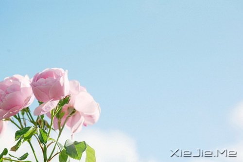 �����������ĸ������ͱ���Ĺ��� (1)