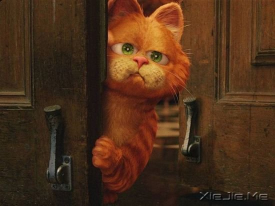 关于猫咪的9部经典电影推荐 (2)