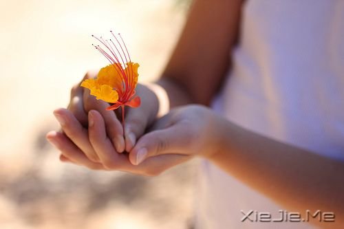 ���Ǿ����Լ����������ô�죿��ס��14�仰��