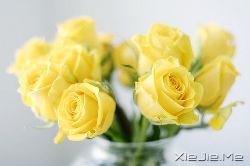 经典语录:只要适合自己,就是幸福 (1)