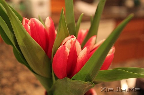 经典语录:只要适合自己,就是幸福 (9)