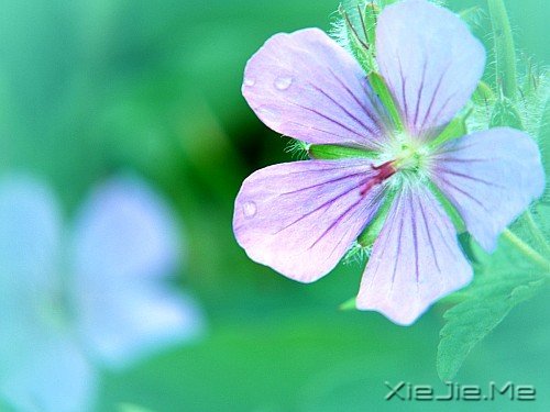 ��ʱ�仨�ڽ����ϣ������Ǳ�Թ��