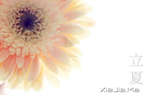 �ɾ�һ����50������̬ (3)