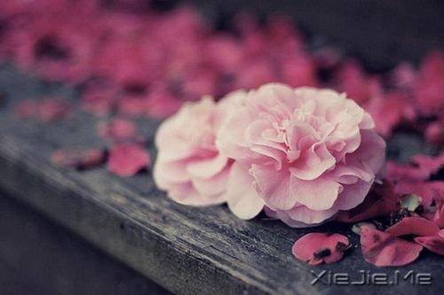 ������¼��20�������������� (1)