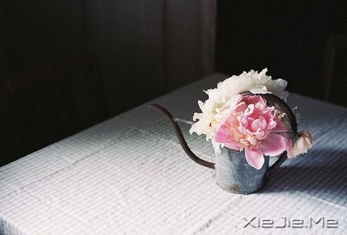 ����ϵͼƬ (1)